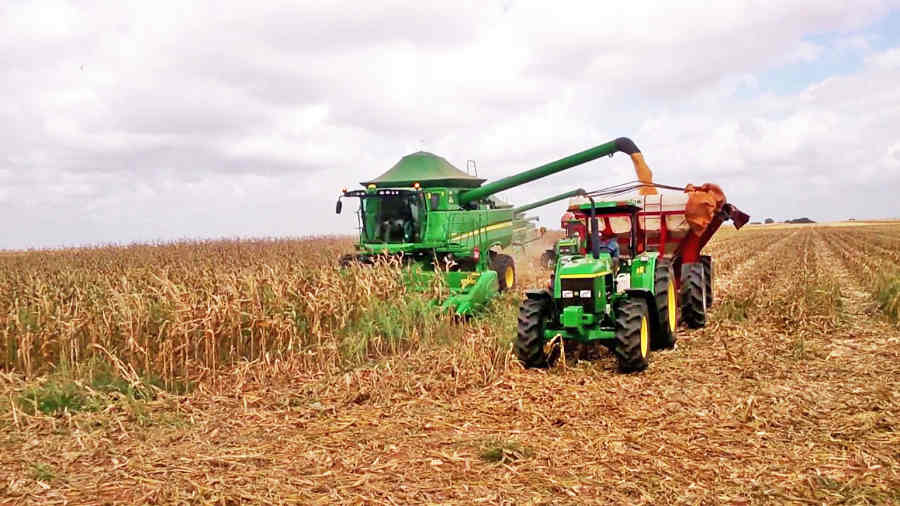 Guárico estima romper récord en producción agrícola