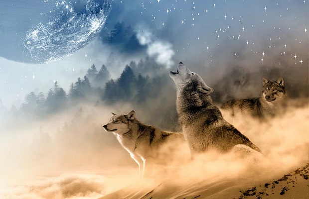 ¿De dónde surge la expresión ‘¡Menos lobos!’?