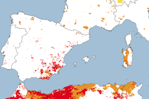 Espana-ha-recibido-mas-lluvia-que-nunca-esta-primavera-Y.png