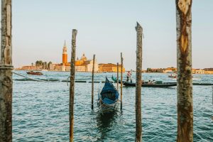 Venecia-es-un-bosque-invertido-que-se-esta-hundiendo-Hay.jpeg