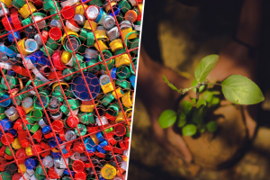 Ya-sabemos-de-donde-saca-los-microplasticos-la-lechuga-que.png