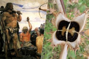 ya-sabemos-que-sustancia-consumian-los-europeos-prehistoricos-para-sus.jpeg