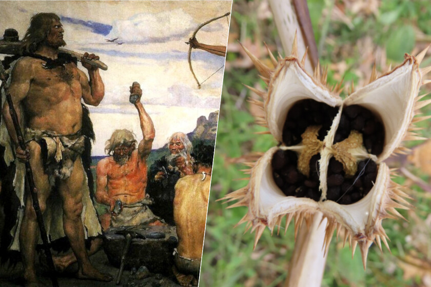 ya-sabemos-que-sustancia-consumian-los-europeos-prehistoricos-para-sus.jpeg